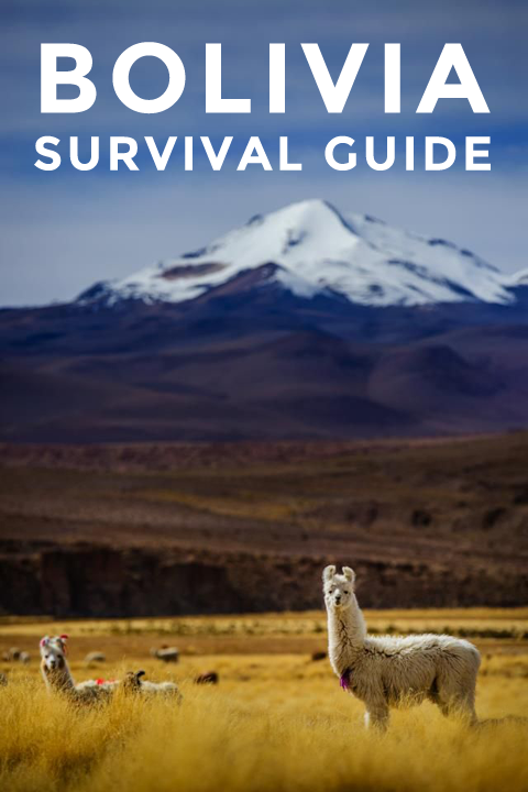 Guide to Bolivia