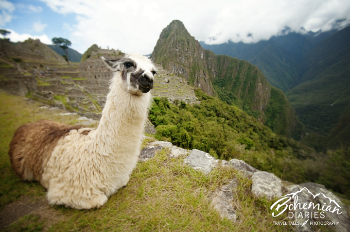 Rookie mistakes to avoid when visiting Machu Picchu